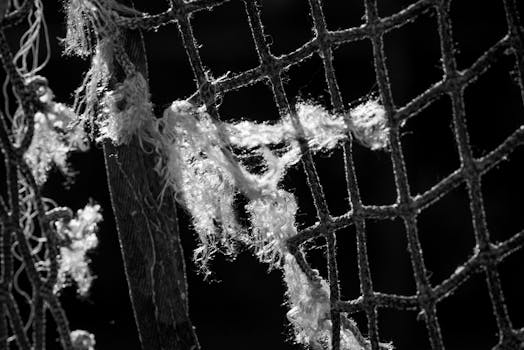 Unraveling the Threads of Time: The Dynamic World of American Basketry