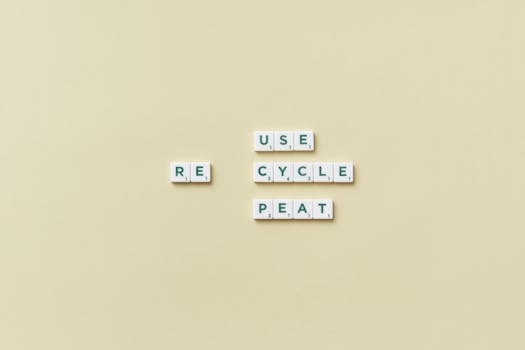 Eco-Craft Revival: How American Baskets Champion Sustainability