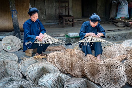 Mastering Basket Collecting: Traditional vs. Modern Techniques Explained